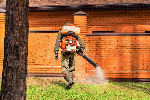 Trusted Ant Control service in Palos Park, IL - Nex Pest Control
